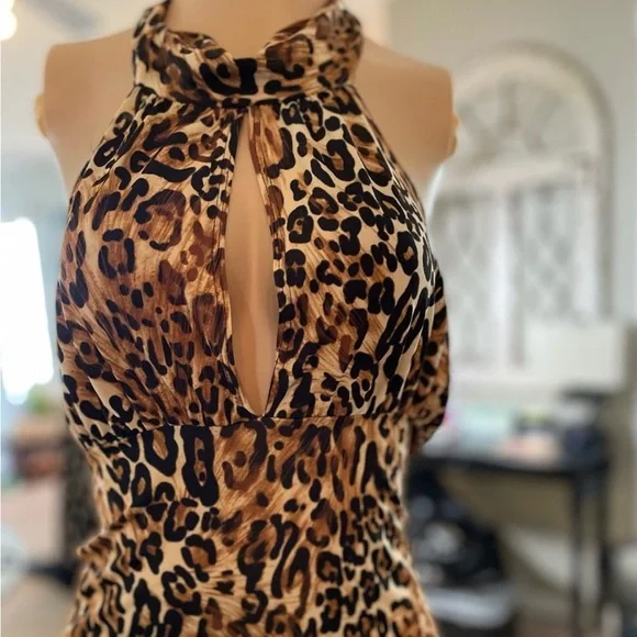 4 blouses!! - Picture 3 of 8